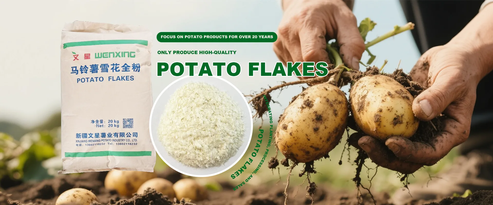 Nhà máy mảnh khoai tây Trung Quốc